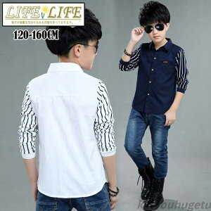 yzCVc q uEX Vc lN^Ct   j̎q LbY {[CYVc  LbY xr[ uEX