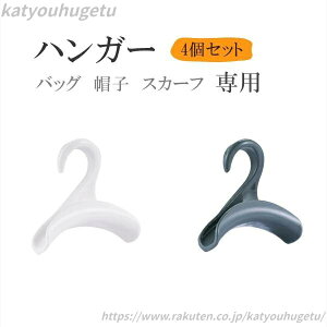 yzCeA IV   VvfUC ȃXy[X  [ XJ[tnK[ obO XqnK[