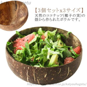 yzH eCXg  H JtF CX X`o RRibc̃{E S RRibc{E ђq 3Zbg fU[g L M