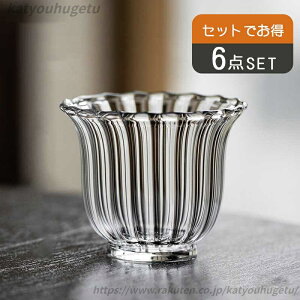 yzv[g ̓ ̓  k CNA JtFH  KXJbv 6ZbgԌ`KXt KXJbv