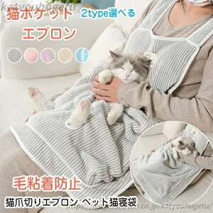 yzLpybgGvy2025 啞 hSуJo[zybgLQ Lpybg Lpn[lX ^Gv n[lX