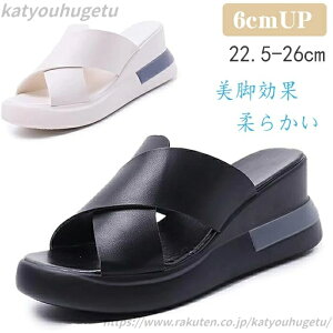 yzfB[XT_ Xb|RtH[gT_ t@bVT_ gAbv₷ y 6cm\[