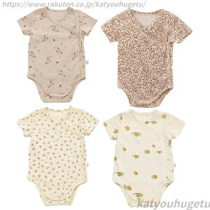 yzV  V pW} p[X OJ  xr[ {fBI[ Jo[I[  k  Ԃ 