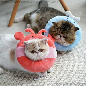 yzGUxXJ[ S6color Lp  p ybg EFA  ^ ObY \tg _炩 ӂӂ NbV y