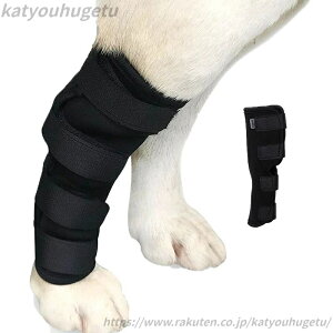 yzG p㌢p T|[^[ ֐ߕی ֐߃veN^[ V[gT|[^[  V[gT|[^[ PApi ܎