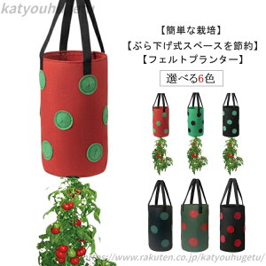 yzǊ| sDz A͔|obO|bg Ǌ| v^[ A  Aؔ 3K y 13 z tFg A琬