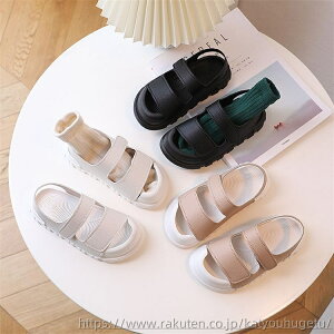 yzq C LbY T_ xg V[Y EVA y h  C r[` AEghA X|[eB[ ̎q K[ WjA ؍q  tH[} \ o ʉ ʊw 