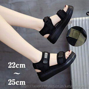 yzT_ X|[cT_ r[`T_  r }WbNe[v V[Y fB[X AEghA tďH ~ C  r[` ʋ ʊw ʊw r[` T_