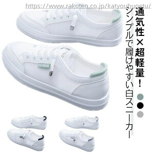 yzU[Xj[J[ Mtg PU Vv Ȃ ʋC  ~ ʊw ʋ y fB[X t y  C\[ r JWA b  ₷ Xj[J[ 