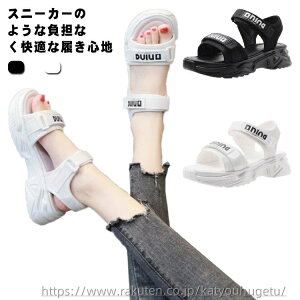 yzy }WbNe[v 킢  JWA r[`T_ T_ C fB[X X|[cT_ 