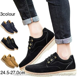 yz24.5~27.0 C Sn  h [Nu[c XG[h [XAbv V[Y [Jbg ɂ Y