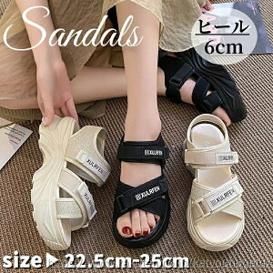 yz6cm Xj[J[T_ y r[`T_ T_ fB[XT_ V[Y C X|[cT_  T_