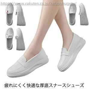 yz΍ ʋC wlC ƌC   킢  fB[X  Ōt  pvX  Ȃ i[XV[Y