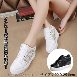 yz22.0-25.0  Vv l ėp  킢  Cq[ r bV fB[X