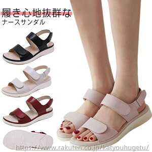 yzRtH[gT_ [q[  ɂ O\h ItBXT_ pT_ T_ i[XT_