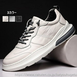 yzXj[J[ Y  Xj[J[ Y JWAV[Y  C  ɂ  C