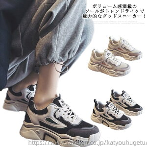 yz؍ gAbv w {[\[ fB[X ʋC bV 5cm zF Xj[J[ 5cm JWAV[Y