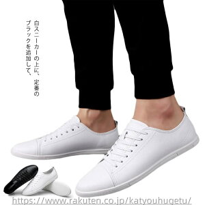 yzC d y y ʊwC ɂ Sn ubN zCg V[Y  [Jbg H t Y vC