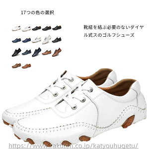 yz傫TCY StC XpCNXV[Y v y y C V[Y St p Xj[J[ St Y StV[Y