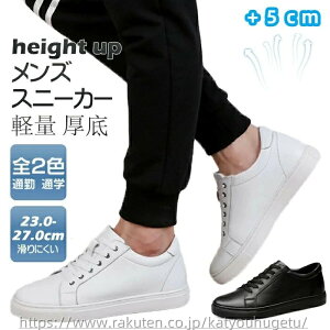 yzWMO gAbv wȂ ʊw ʋ  {v tďH C V[NbgV[Y fB[X Xj[J[