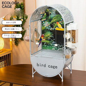 yzy^zVR؃obNplt IEECRP[W LXnEX^Cv DIYCAEg\ o[hP[W EA{EVCRizjAIJCRΉ