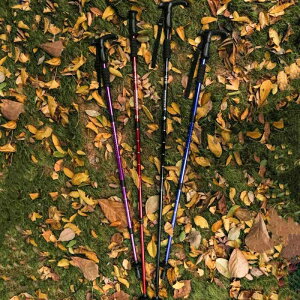 yzgbLO|[ Lk A~ y RpNg oR nCLO AEghA EH[LO U  XebL ϋv 萫