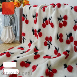 yԌ10%OFFN|z 155cm 90cmP n z zn  WJ[hn  H~n E[ jbg  `F[ bh ubN zCg yVCOʔ