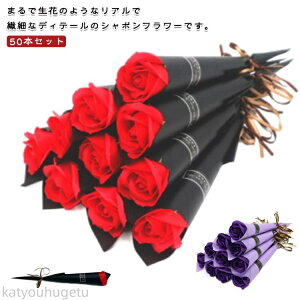 yԌ10%OFFN|zyzV{t[    ͂Ȃ \[vt[ ԑ [Yu[P  KN  50{Zbg \[vt[ u[P a 