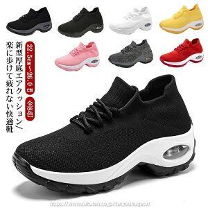 yԌ10%OFFN|zyzXgb`JWAwl nCq[ fB[X Xj[J[ 6cm EH[LOV[Y V^GA[NbVV[Y