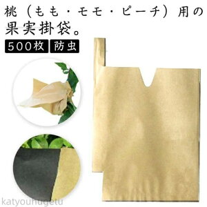 yԌ10%OFFN|zyz500 h ̊| h h ʎ| h hJ ʎ p