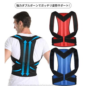 yԌ10%OFFN|zyzLwT|[ jp LwRZbg fB[X Y pxg Lwxg pxg  Lwxg Lw