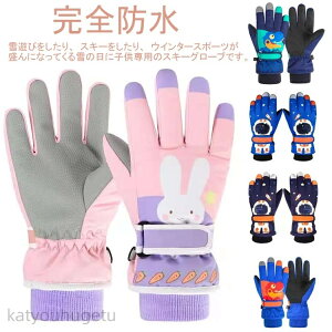 yԌ10%OFFN|zyzXL[O[u Sh q  5{w^Cv LbY XL[ ۉ h ^b`plΉ ~ g j̎q ̎q WjA Fl 