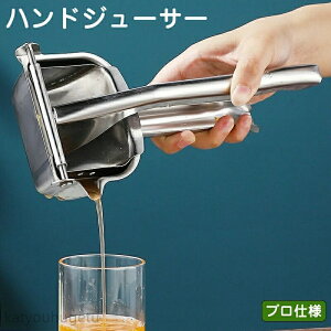 yԌ10%OFFN|zyznhW[T[ W[T[ 蓮 ʕi i t[ci  t[cڂ i@ XeX tbVW[X W[X 