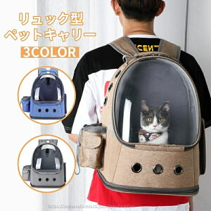 yԌ10%OFFN|zyzybgL[  ^ L   ybg bN L[obO L[P[X ω 10kg ^ ybgnEX RpNg [ ^ 