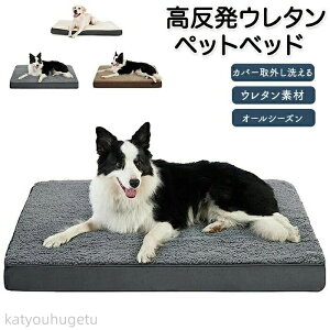 �y�~�̂������߃A�C�e�����W�z�y���������z�y�b�g�x�b�h ���t�� �J�o�[���O���􂦂� ���L���p �̈����U�y�b�g �\�t�@�x�b�h �� �L ���� �˂� �y�b�g�x�b�g �J�o�[�􂦂� ����\ �����