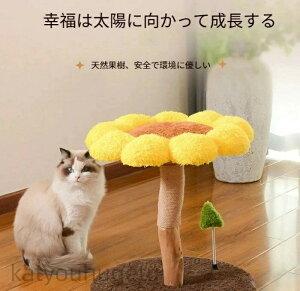 y~̂߃ACeWzyzq}Lbg^[ VRʎ L^[ VR i` L^[ u   xbh  lR Lp ^s X