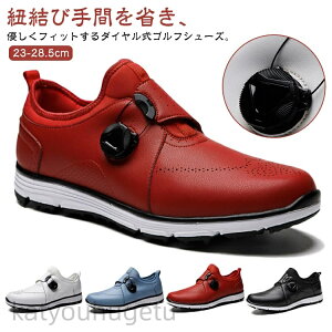 y~̂߃ACeWzyzfB[X StV[Y _CA StV[Y h Y XpCNX Xj[J[ h  St C KC y X|[cV