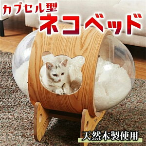 y~̂߃ACeWzyzJvZ^ lRxbhVRؐC Lxbh ͌^ FD^ ؂̃xbh ˂xbh Q LP[W  NA AN  