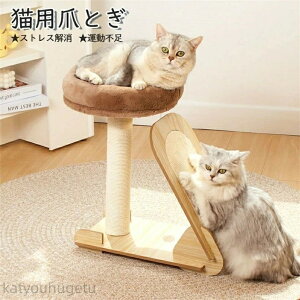 y~̂߃ACeWzyzL ܂Ƃ |[ Lbg^[ ɑ O {  Zbg  u ܂݂ XgX   xbh ybgx