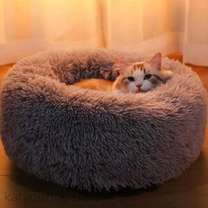 y~GߏiWzyzNbV  L ~ ^ VjA ybgpi Q ybgnEX ӂӂ ybg\t@