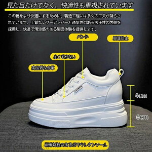 y~̂߃ACeWzyzʋC tďH~ _bhXj[J[ EH[LO V[Y C fB[X   C gAbv ėp y 10cm Xj[J[