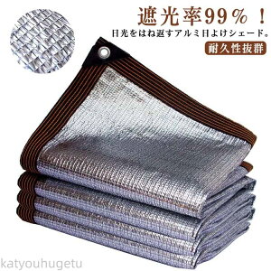 yhЗpizyz Lv x_  I[jO  ډB g ȃGl v A~ ډB VF[h O O΍ 悯 TVF[h 悯VF[h 悯XN