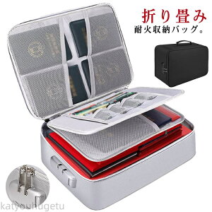 yhЗpizyzhЗp ƒp Ɩp W Mdiۊ _CbN ރP[X A4t@C h ωΎ[P[X h hΑ ޕۊǃP[X 4w A4 ω΃P[X ω΃obO 