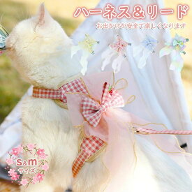 全4色 ハーネス 蒸れない リボン M 服 簡単脱着 S 超可愛い設計★猫 胴輪 お姫様 サイズ 抜けない 小型犬 猫用 ★新発売 ダブルロック ネコ 災害 避難 キャット かわいい ねこ おしゃれ お出かけ メッシュ猫ハーネス 外出 ペット 通院 リード 牽引ロープ付き 散歩