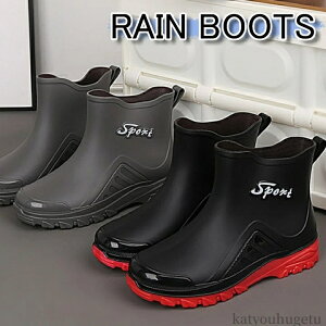 yzEhgD AEghA ₷ ubN L hC ₷ Vv 24.5-27 ނ Sh n Ȃ bh