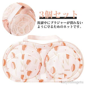【送料無料】型崩れ防止 型崩れ対策 洗濯機 ドラム式 枠付き メッシュ生地 ブラジャーネット 3個セット ブラジャー専用 洗濯ネット