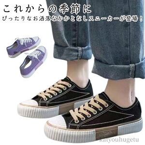 yz [Jbg ₷  t ƂȂ Xj[J[ ƂȂV[Y ɂ Xb| fB[X