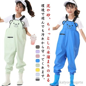 yz CEFA qǂp  Cpc Vђ ߉\  vCEFA EF[_[ ꒅ J LbY