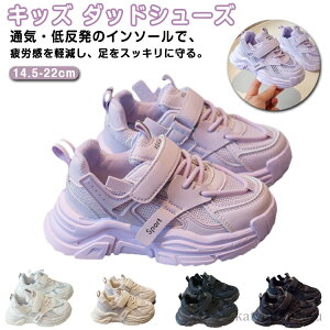 yzqǂC  j̎q qC ̎q JWA V[Y Xj[J[ ʊwC WjA ^ LbY lۂ _bhV[Y