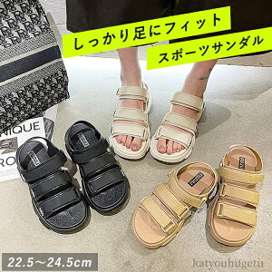 yzy y r[`T_ Xj[J[ V[Y fB[X bVT_ xN X|[c X|[cT_